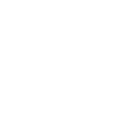 Search Icon